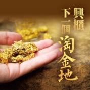 興櫃下一個淘金地 